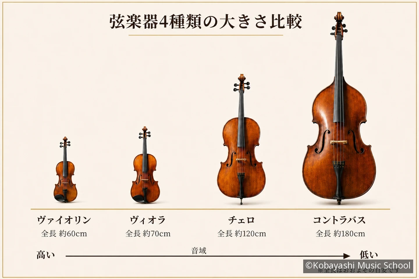 弦楽器4種類の違いとは——ヴァイオリン・ヴィオラ・チェロ・コントラ
