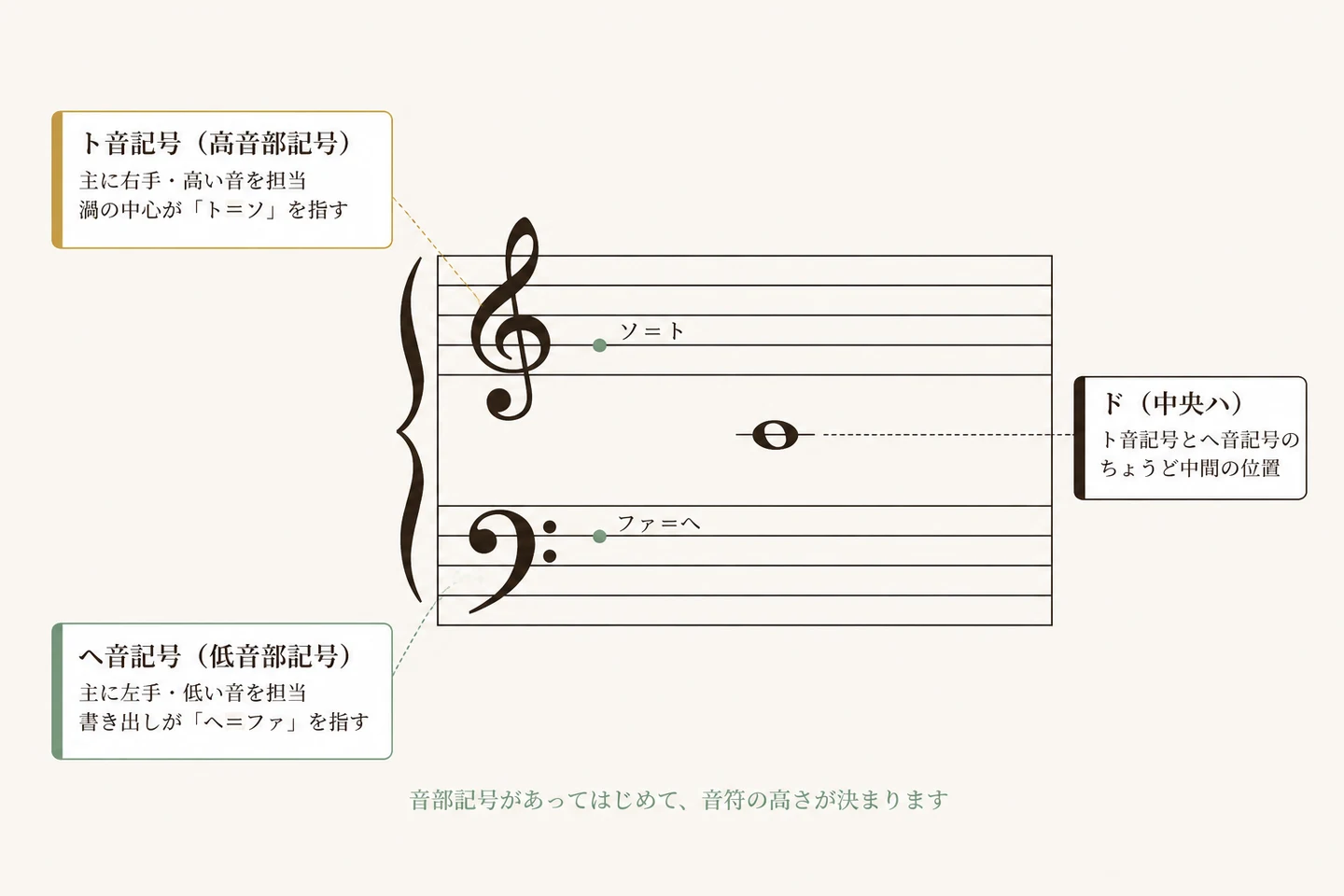五線譜とト音記号・ヘ音記号・中央ハの位置を示す図解
